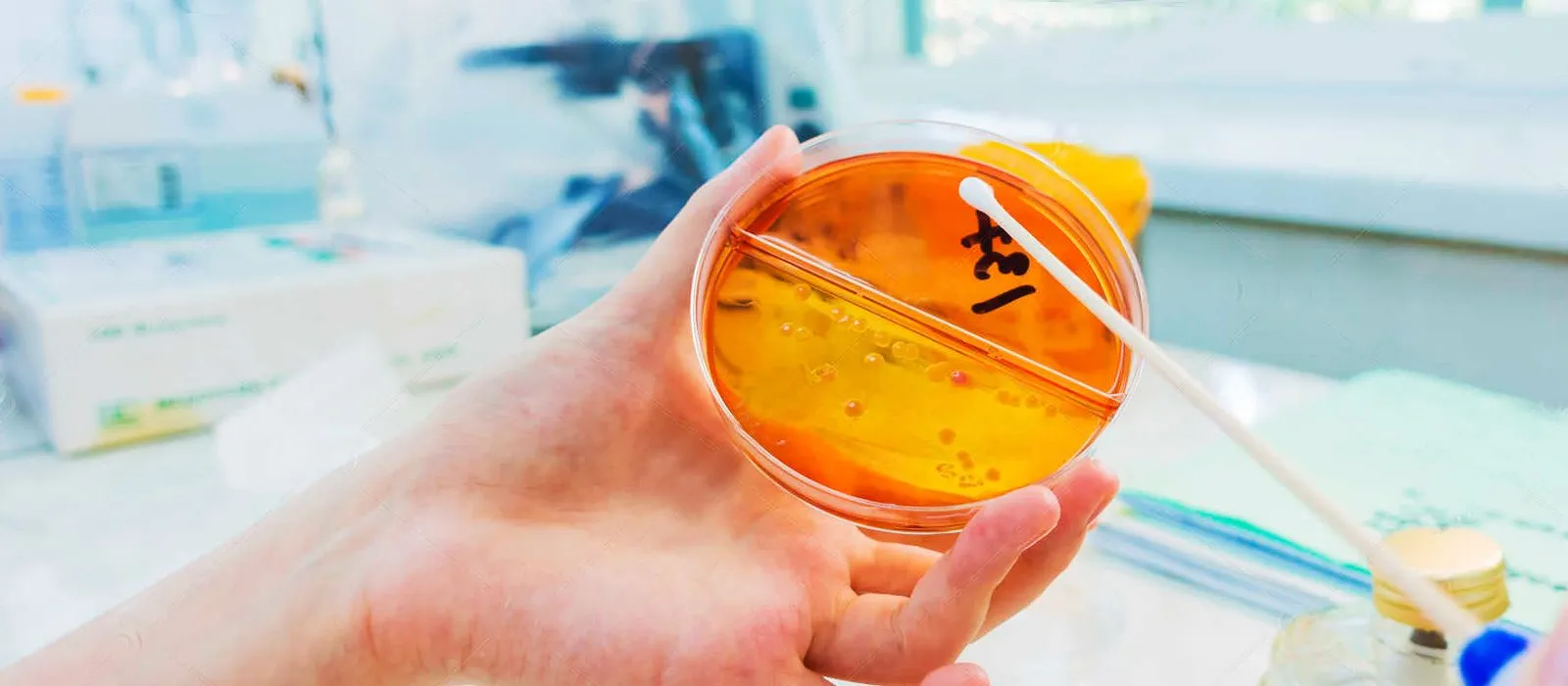 Análise Swab — Laboratório Aqualyse